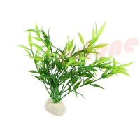 plant bamboo klein